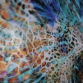 1g5.JPG