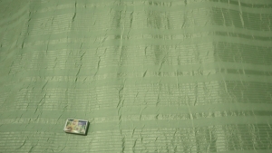 tkanina zielona n.163 s -zelená látka