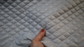 1pom3.JPG