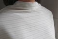 1pasy3.JPG