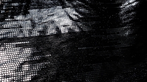 szyfon czarny ze srebrnym - černý šifon se stříbrným vzorem 