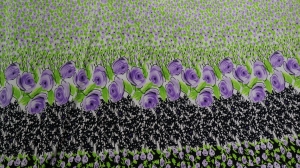 dzianina ITY raportowa n.115 -uplet ITY