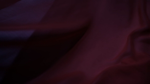 szyfon wiśniowy -końcówka  -šifón 