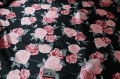 1satin4.JPG
