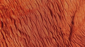 dzianina komin karbowana n.3-w -okazja -úplet vroubkovaný - tunel